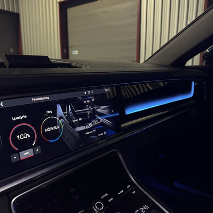Ambient Light Porsche Panamera (Dynamic) (Inkl. Montering)